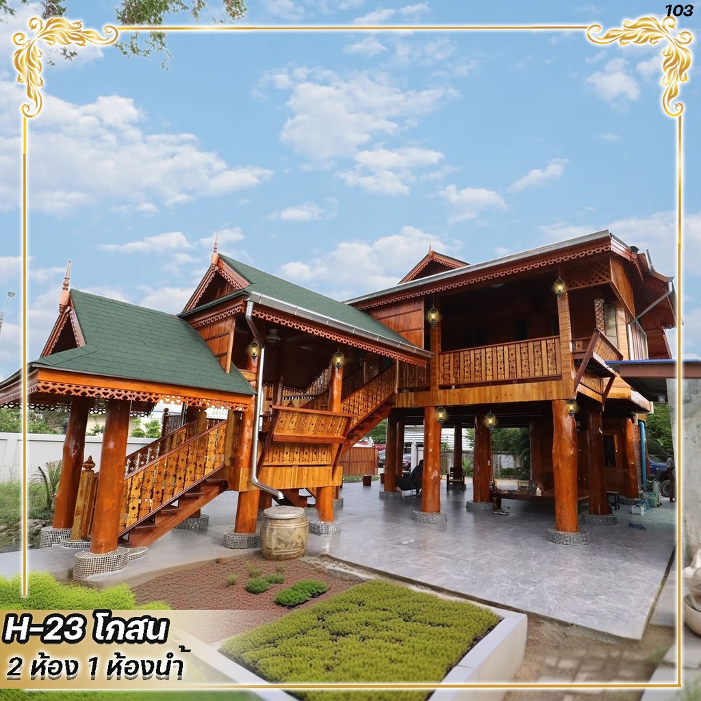 H.23 โกสน