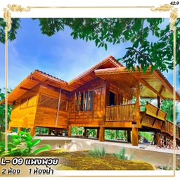 L-09 แพงพวย