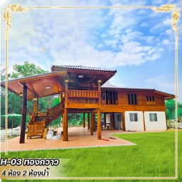 H-03 ทองกวาว
