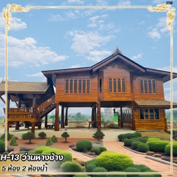 H-13 ว่านหางช้าง